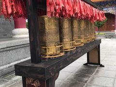 -三塔倒影公园