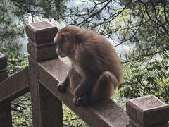 -九华山风景区