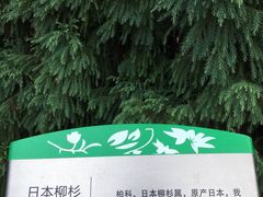 -白塘生态植物园