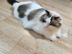 -白兔子密室(长寿路店)