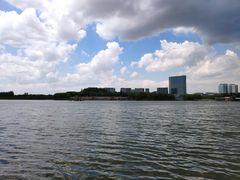 -大兴滨河森林公园