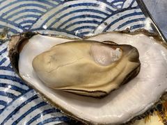 原味高压锅大蚝-帽帽家只卖生蚝·烧烤(沙湖路店)