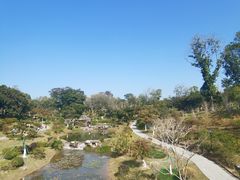 -东莞植物园
