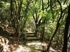 -杭州半山国家森林公园