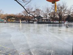 -北陵公园