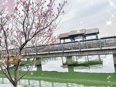 -阳澄湖半岛旅游度假区