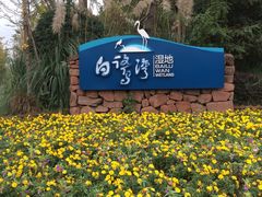 -白鹭湾湿地公园