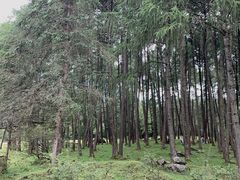 -硗碛藏寨·神木垒景区