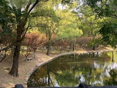 -上海共青森林公园