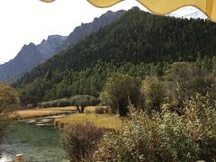 -长寿面馆(振兴路店)