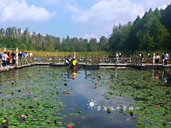 -溱湖国家湿地公园