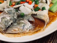 -猪肉婆私房菜(容桂总店)