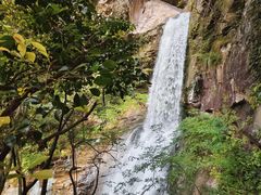 -天台山琼台仙谷景区