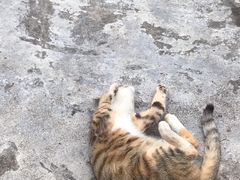 -三溪村