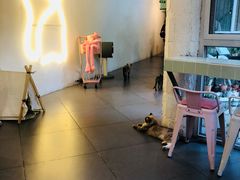 -有猫主题·治愈系猫咖(曾厝垵店)