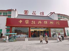 -曹州牡丹园