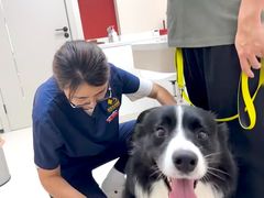 -御宝贝24h宠物医院·转诊中心·CT核磁血透中心(厦门总院)