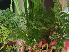 -洛阳宴·洛阳菜(南昌路店)