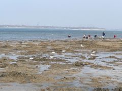 -山海广场