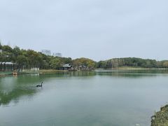 -新洲生态园