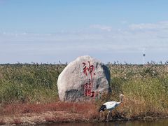 -黑龙江扎龙生态旅游区