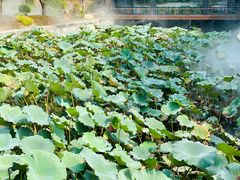 -重元寺香积厨素斋馆