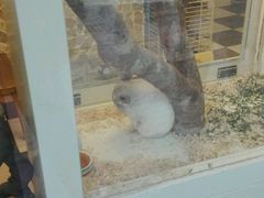 -龙猫仔乐园(惠福东路店)