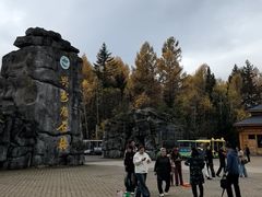 -汤旺河林海奇石景区