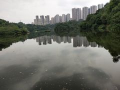 -重庆彩云湖湿地公园