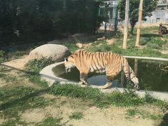 -泉州海丝野生动物世界