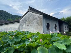 -兰亭风景区