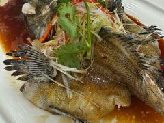 -凤凰楼酒家·粤宴点心(华强北店)