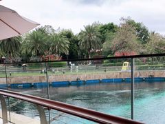 -天津湾西餐厅(三亚海棠湾洲际度假酒店)