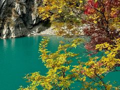 -叠溪松坪沟景区