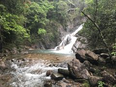 -九龙江国家森林公园