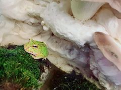 -乐宠宠物店(世纪金源店)