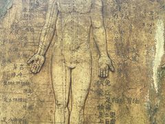 -广州神农草堂中医药博物馆