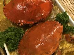 -茉莉.Red Crab