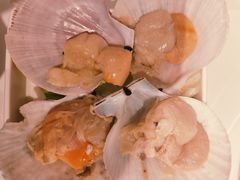 扇贝-肥佬大椰子鸡(三里屯3·3大厦店)