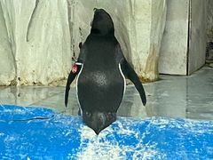 -太平洋海底世界