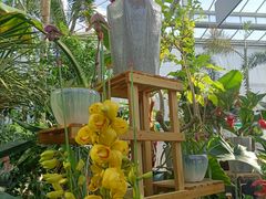 -国家植物园南园