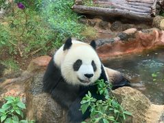 -海南热带野生动植物园