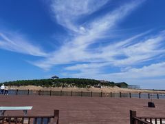 -南大港湿地风景区