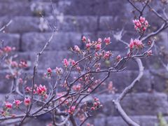 -老门东历史文化街区