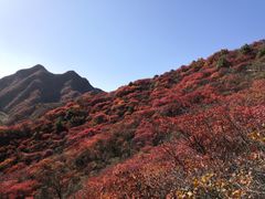 -水峪民俗村