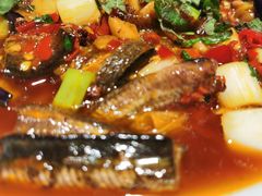 -院8里·小聚园老川菜(九眼桥店)