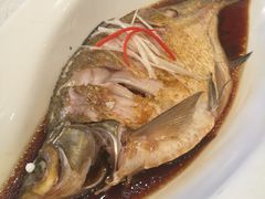 清蒸武昌鱼-亢龙太子酒轩(东湖店)