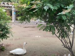 -森林公园(尖草坪区)