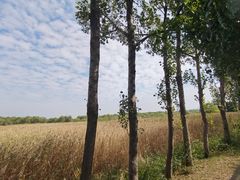 -处女泉风景名胜区