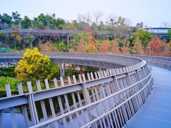 -福道